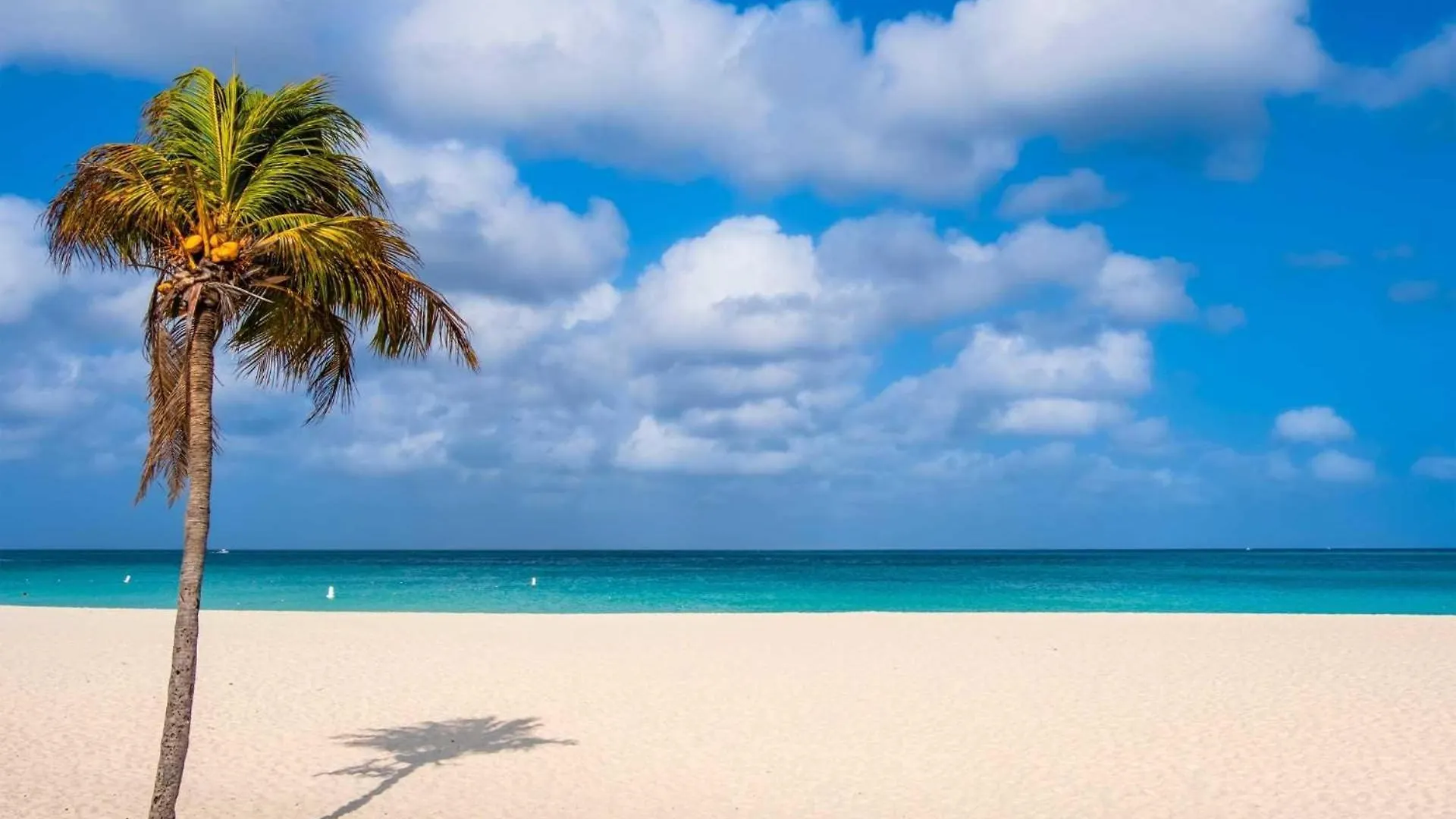 Holiday home Beachfront - Amazing View 2Br Condo - A342 Palm Beach