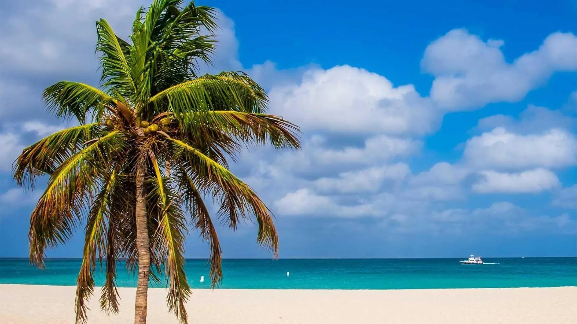 Beachfront - Amazing View 2Br Condo - A342 Palm Beach 0*,  Aruba