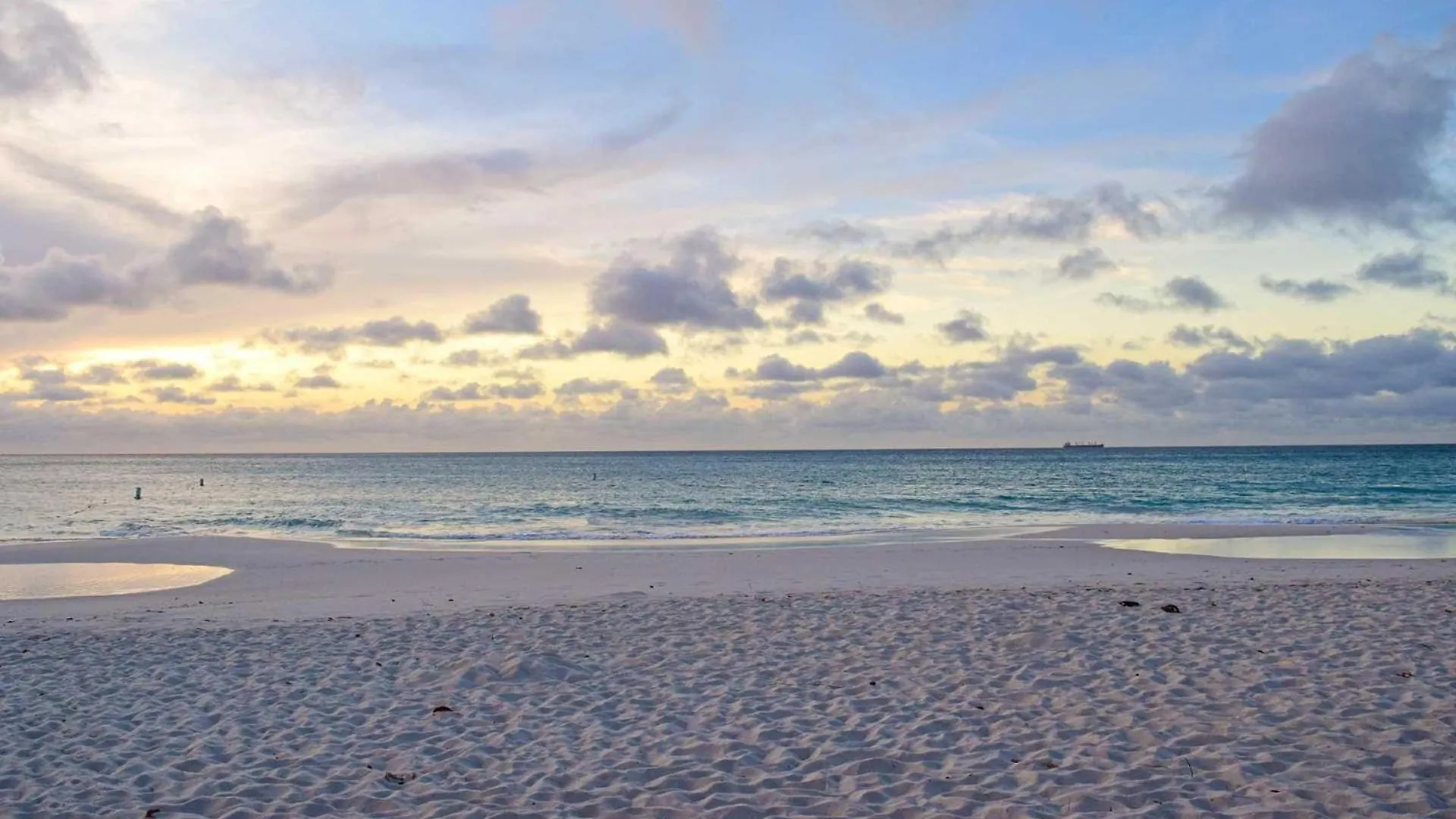 Beachfront - Amazing View 2Br Condo - A342 Palm Beach Holiday home
