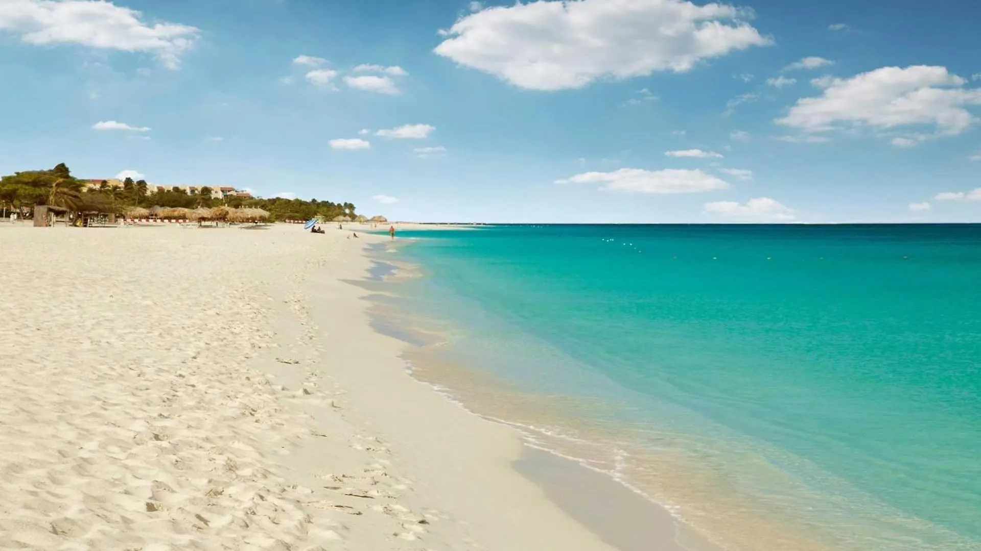 Holiday home Beachfront - Amazing View 2Br Condo - A342 Palm Beach
