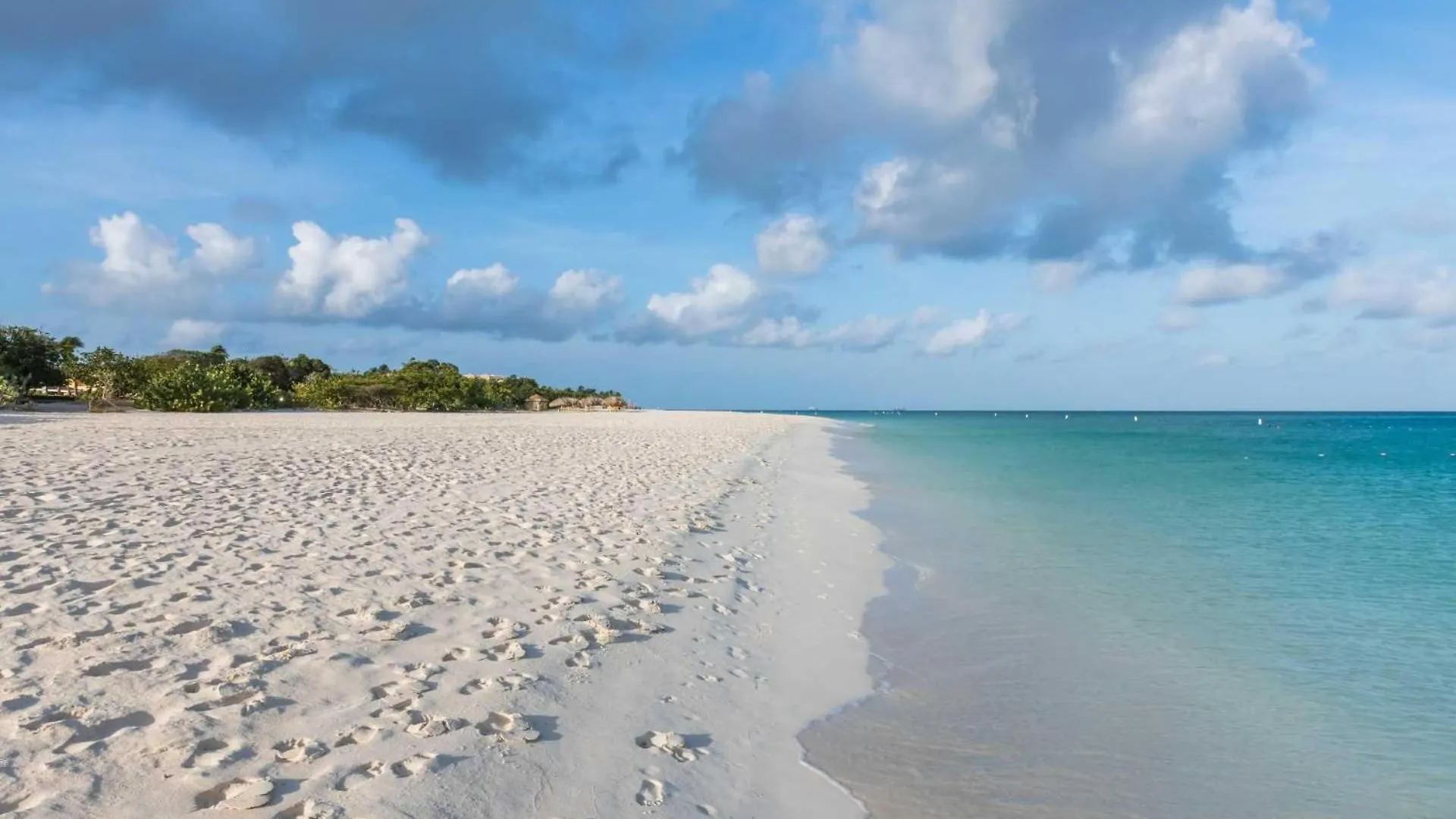 Beachfront - Amazing View 2Br Condo - A342 Palm Beach 0*,