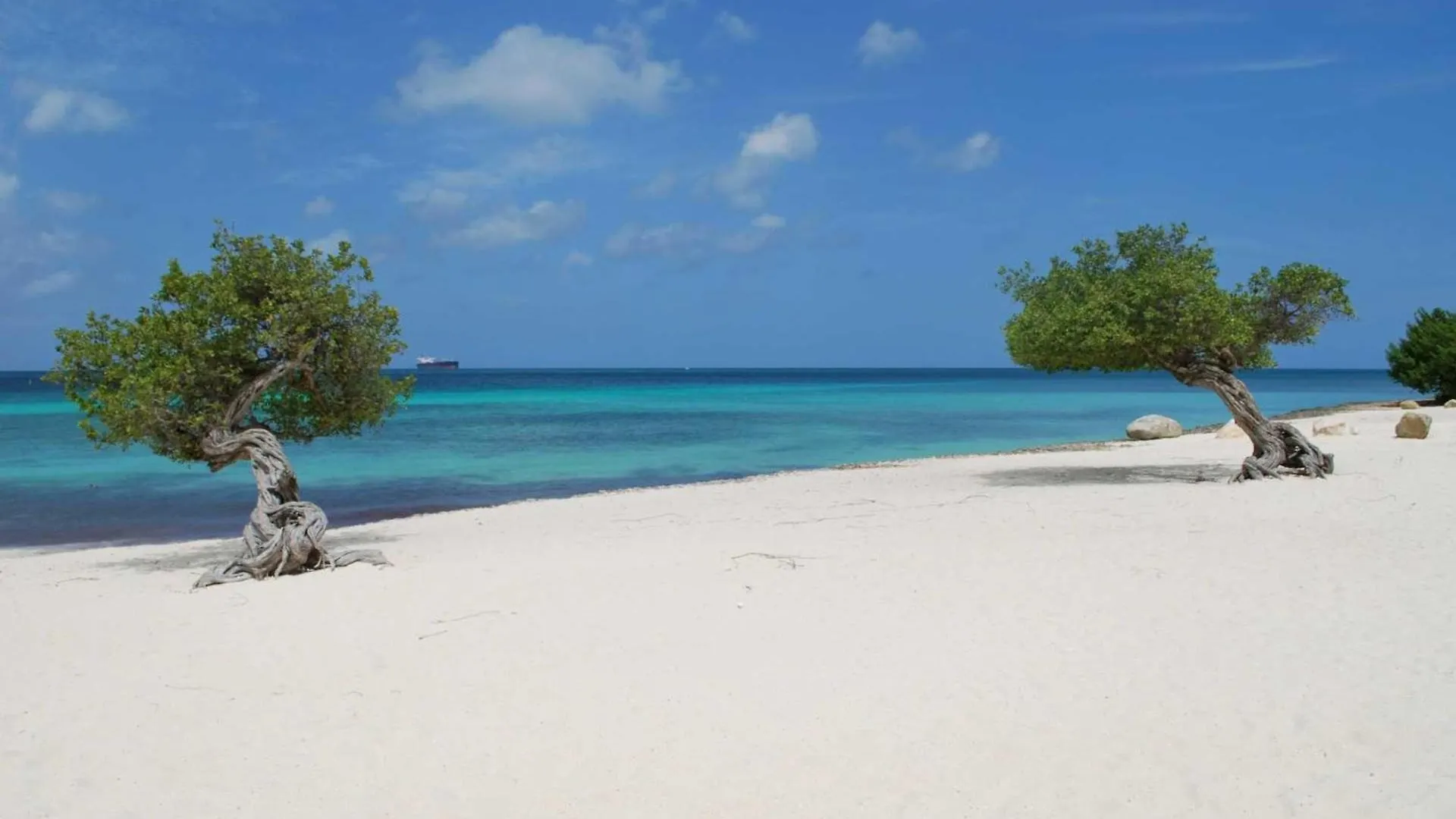 Beachfront - Amazing View 2Br Condo - A342 Palm Beach 0*,